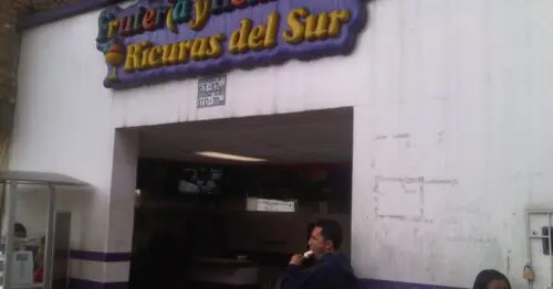 FRUTERIA Y HELADERIA RICURAS DEL SUR FRUTERIA Y HELADERIA RICURAS DEL SUR
